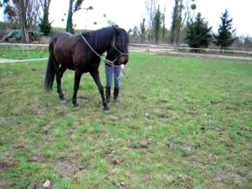 Quiator21