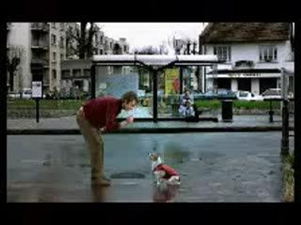 Pub-umbro-football-chien