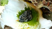 Japanese Street Food - GIANT ALIEN CLAM Sashimi Okinawa Seafood Japan