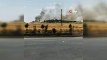 Diyarbakır’da 70 dönüm ekili arazi kül oldu