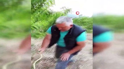 Çiftçinin yılanla tehlikeli oyunu kamerada