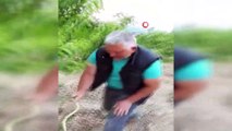 Çiftçinin yılanla tehlikeli oyunu kamerada