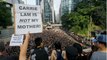 Governo de Hong Kong pede desculpa perante protesto de milhões