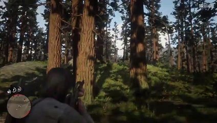 Red Dead Redemption 2_LOS SKINNER PS4