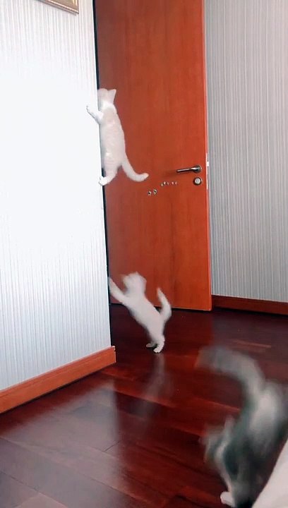 Climbing in a line.