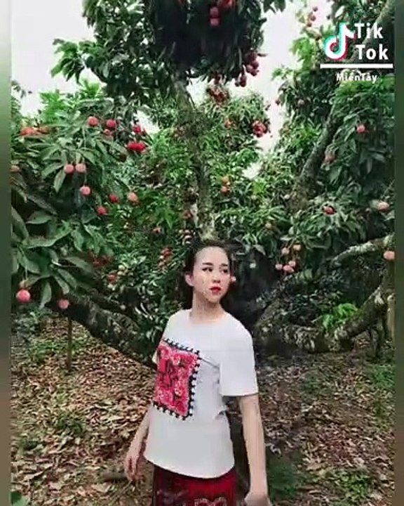 Thiên đường gái đẹp đậm chất miền tây trên tik tok | Tik Tok Miền Tây