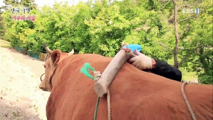 한국기행 - Korea travel_여수의 사랑 1부- 인연을 만나거든 낭도_#001