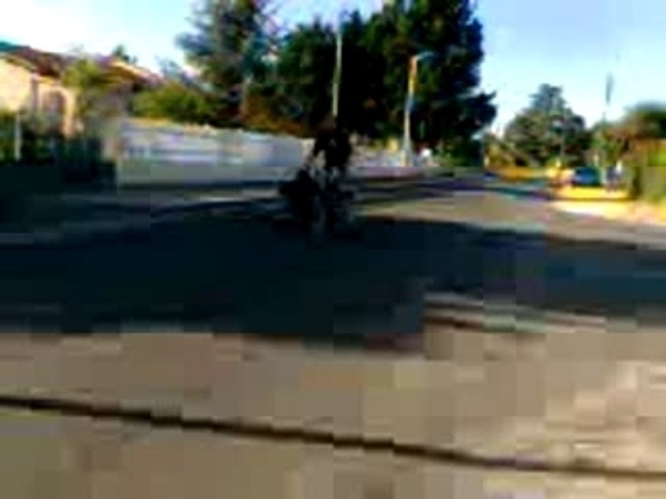 Luca skate 1