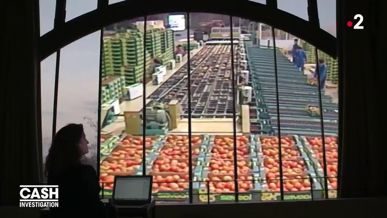 "Cash Investigation" a rencontré l’inventeur de la tomate quasi éternelle… qui n’a aucun goût