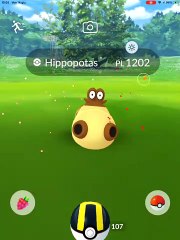 Hippopotas iv 100 cp 1164 liv 30