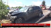 GAZİANTEP Yola çıkan köpek, kazaya neden oldu; anne ve oğlu yaralandı