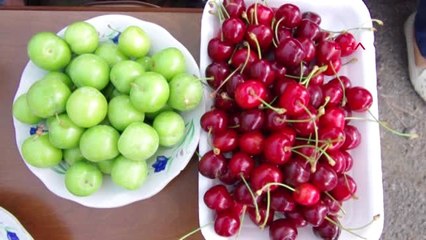 İZMİR 'Demirdere Erik ve Kiraz Şenliği' coşkulu bir şekilde kutlandı