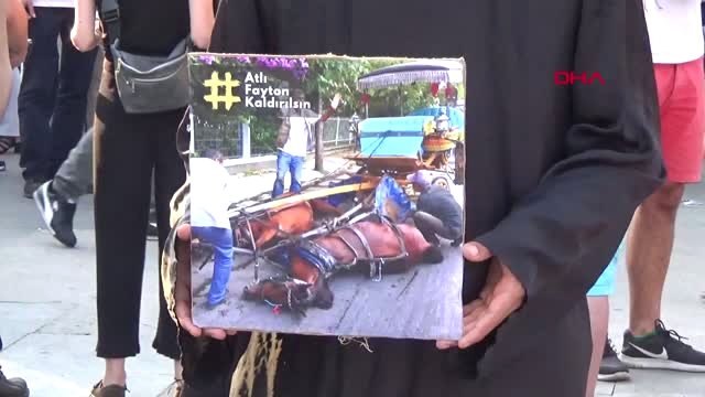 İSTANBUL-KADIKÖY'DE ATLI FAYTON EYLEMİ