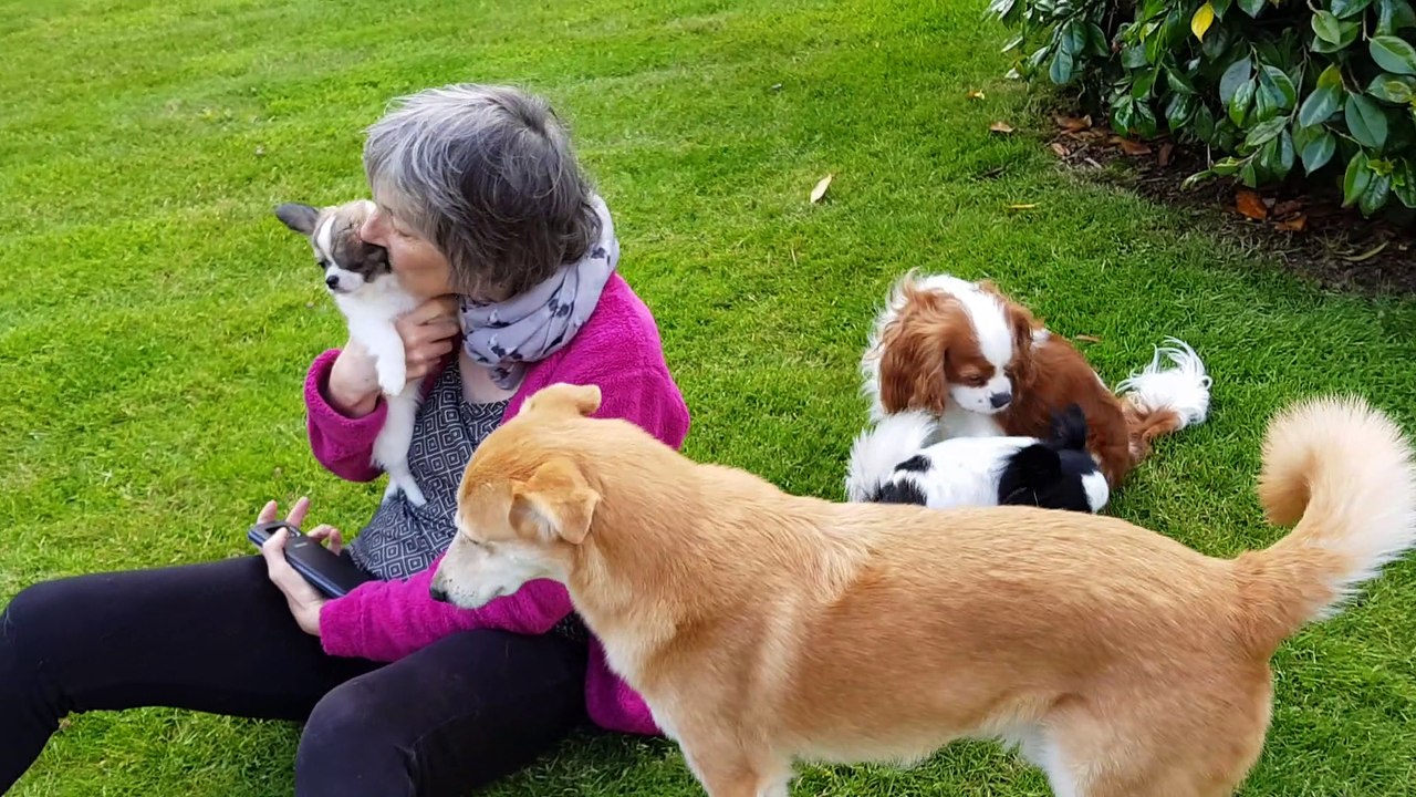 Arrivée de Phloème chez les copains