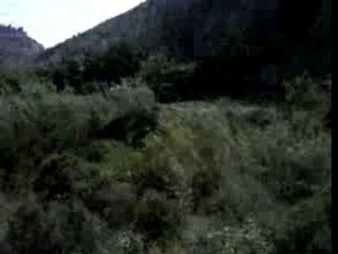 frontiere algerie-maroc