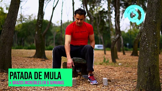 Vida Zen | Marca tus brazos en 6 semanas