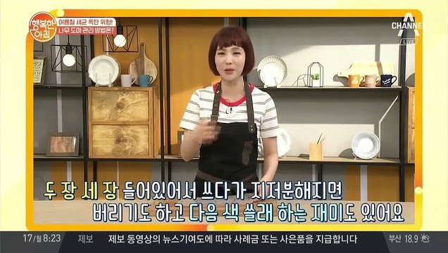 세균 제로 나무 도마 관리법! [소금과 식초 VS 시트 도마] 당신의 선택은?