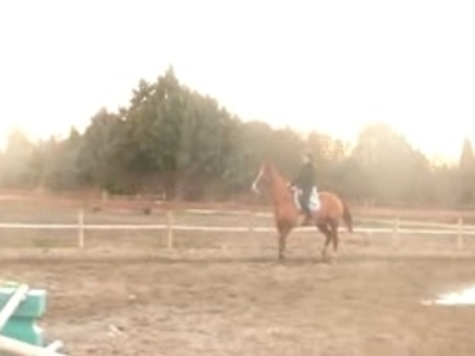 Jade & Sun