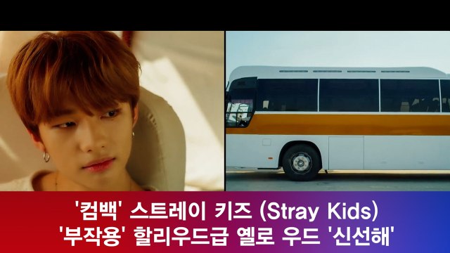 '컴백' 스트레이 키즈 (Stray Kids) '부작용' 할리우드급 옐로 우드 '신선하다'