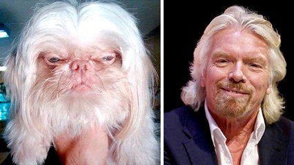 Animals That Look Like Celebrities, Famous People And The Infamous - FUNNY!