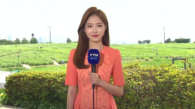 [날씨] 전국 맑고 초여름 더위...자외선 주의 / YTN