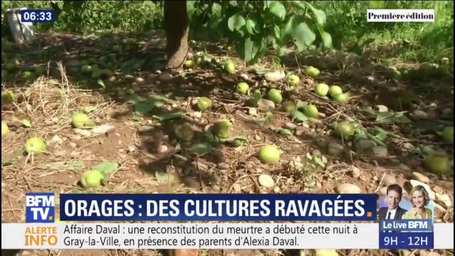 Orages: les maraîchers et producteurs sont désemparés en voyant leurs cultures ravagées