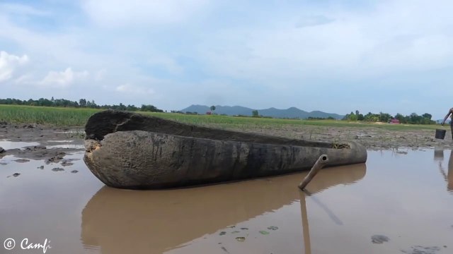 Wow! Two Boys Catching Fish By Hand in Muddy Water - Catching Catfish By Hand Fishing