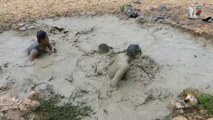 Unique Fishing - Best Hand Fishing - Catching Catfish in Muddy Water By Three Boys