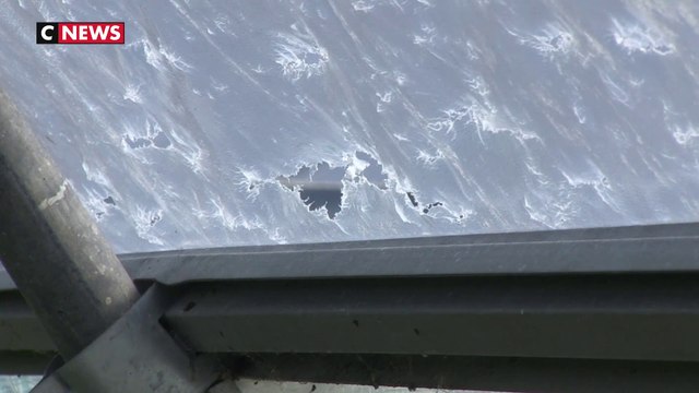 Intempéries : des agriculteurs ont perdu leurs récoltes