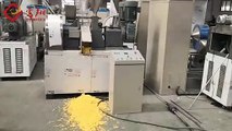 Kurkure/Cheetos/Nik naks food Making Machine | Jinan Phenix Machinery ®