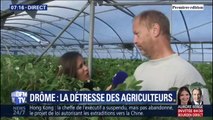 Orages: cet agriculteur devrait débourser 18.000 euros pour réparer les dégâts survenus sur le plastique de sa bâche