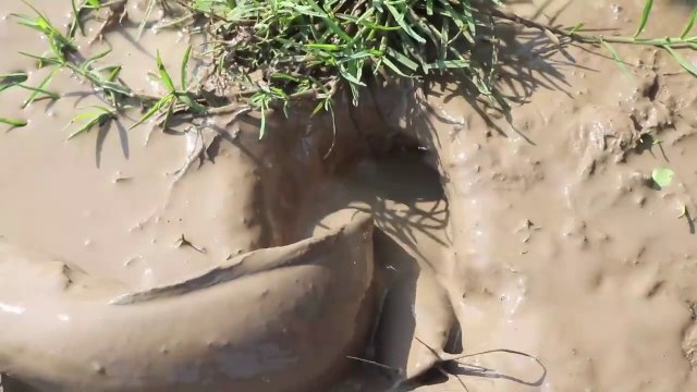 Amazing Oil Fishing New Method Of Catching Fish From Deep Hole