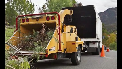 Stump Removal Sydney