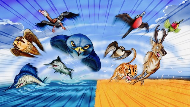Worlds Fastest Animals Compared. Which is Fastest?