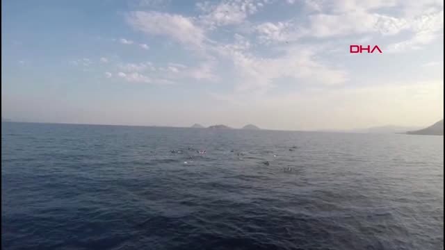 BODRUM Kaçakları taşıyan tekne battı