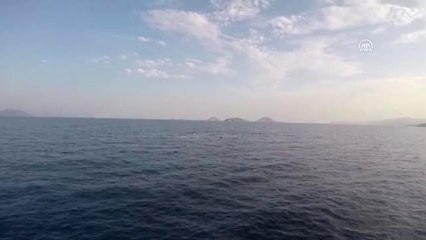 Bodrum açıklarında düzensiz göçmenleri taşıyan tekne battı, 31 kişi kurtarıldı