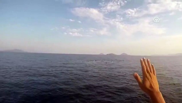 Bodrum açıklarında düzensiz göçmenleri taşıyan tekne battı, 31 kişi kurtarıldı