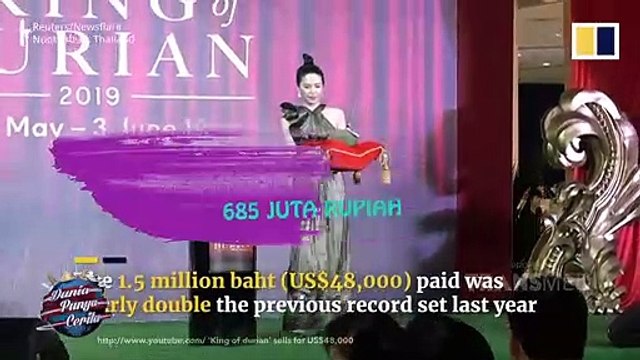 Dunia Punya Cerita - Gokil! Durian Seharga 685 Juta Rupiah!