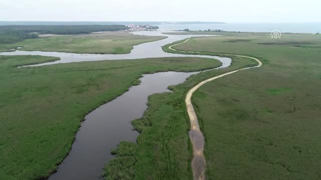 İğneada Longoz Ormanları'na kuş gözlem kulesi yapılacak - KIRKLARELİ