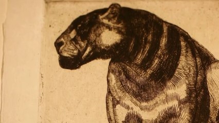 Antiquités - Le livre de la jungle