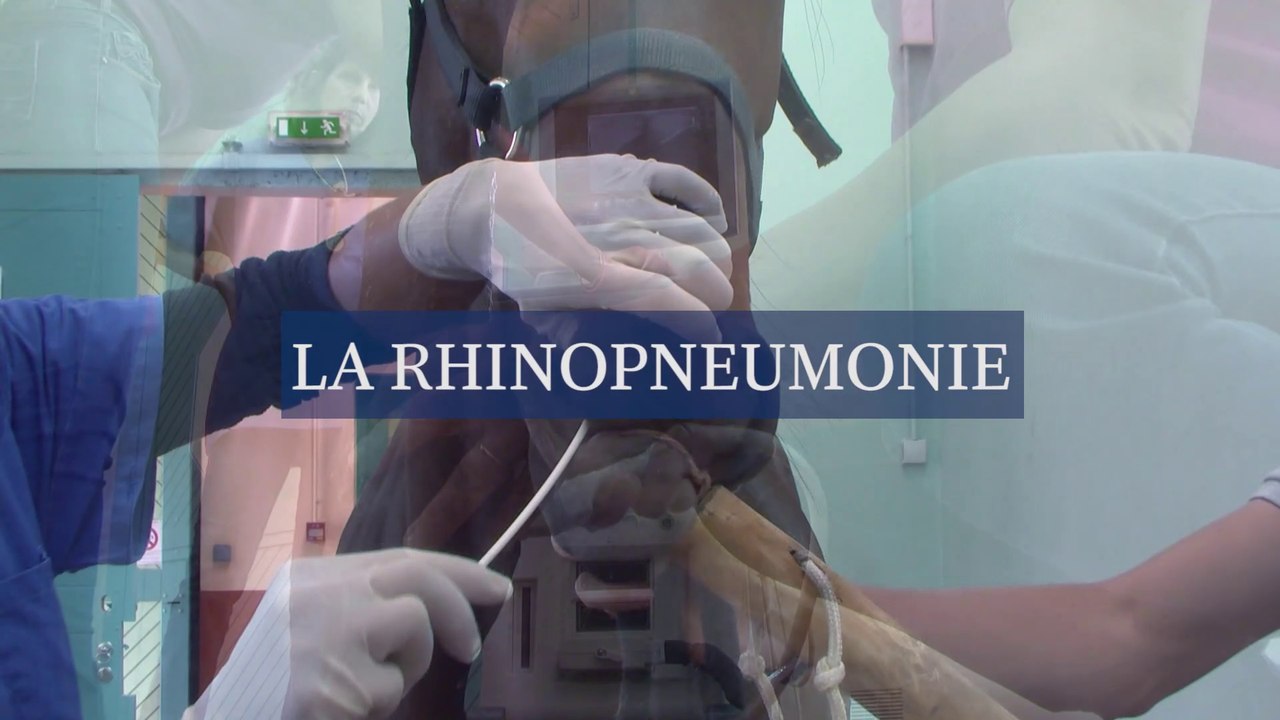 La rhinopneumonie