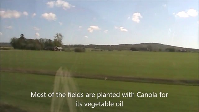 Scenic Views from Tour Coach - Gothenburg to Copenhagen, Scandinavian Holidays