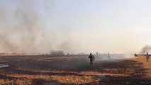 حرائق ضخمة تجتاح الأراضي الزراعية شرق سوريا