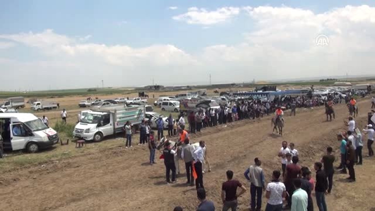 Diyarbakır'da rahvan at yarışları yapıldı