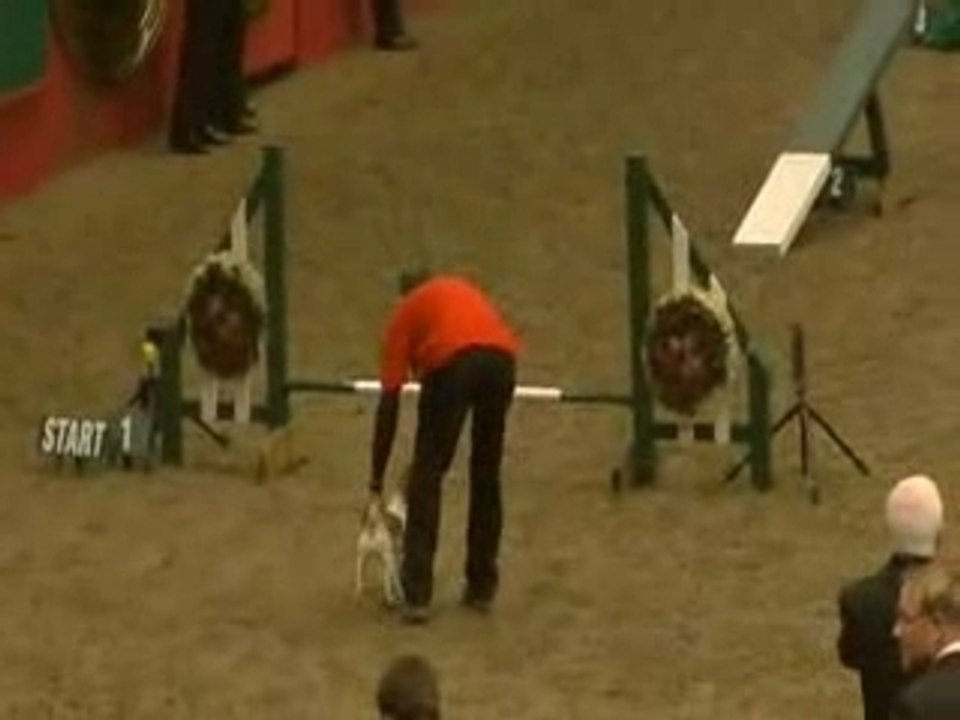 olympia small agility