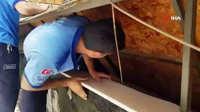 İtfaiye yavru kediyi kurtarmaya çalıştı, anne kedi izledi