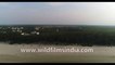Bird's eye view Bakkhali Beach during low tide, the unique life of  Bay of Bengal, West Bengal, India, 4k stock footage