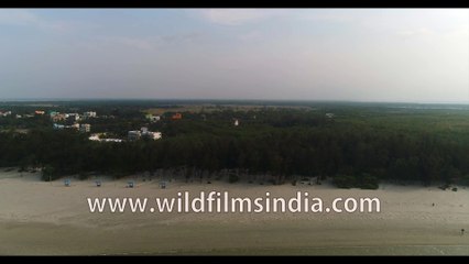 Descargar video: Bird's eye view Bakkhali Beach during low tide, the unique life of  Bay of Bengal, West Bengal, India, 4k stock footage