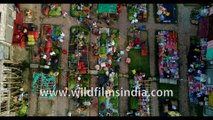 Dashmile Bridge, colourful West Bengal, lifestyle and red boats, India , Aerial 4k stock footage