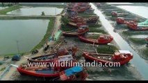 Aerial view of stunning water ways and fishing boats parked during low tide under Dashmile Bridge-4K stock footage